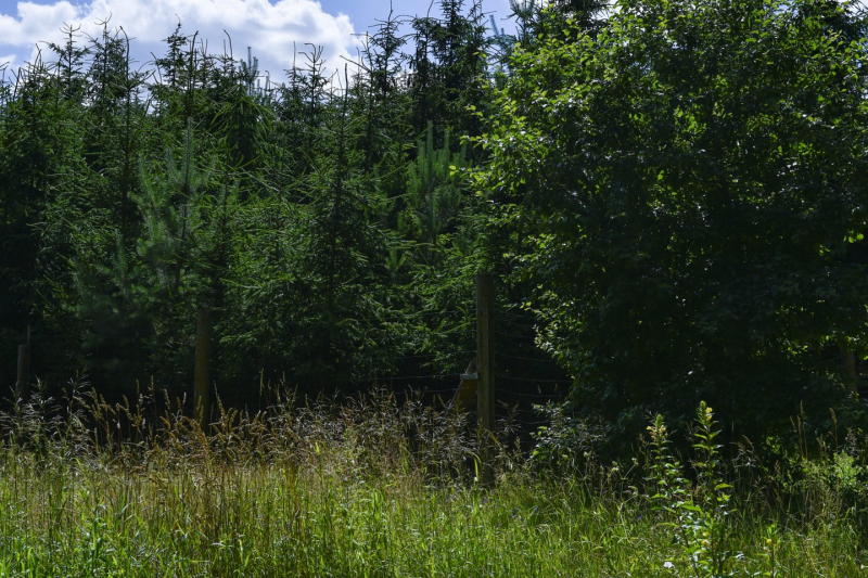 Vieni už gamtos niokojimą ir nelegalias statybas Lietuvoje baudžiami iš peties, kitiems, pasirodo, randasi galimybių atitaisyti žalą pagal kažkokius mistinius priemonių planus.