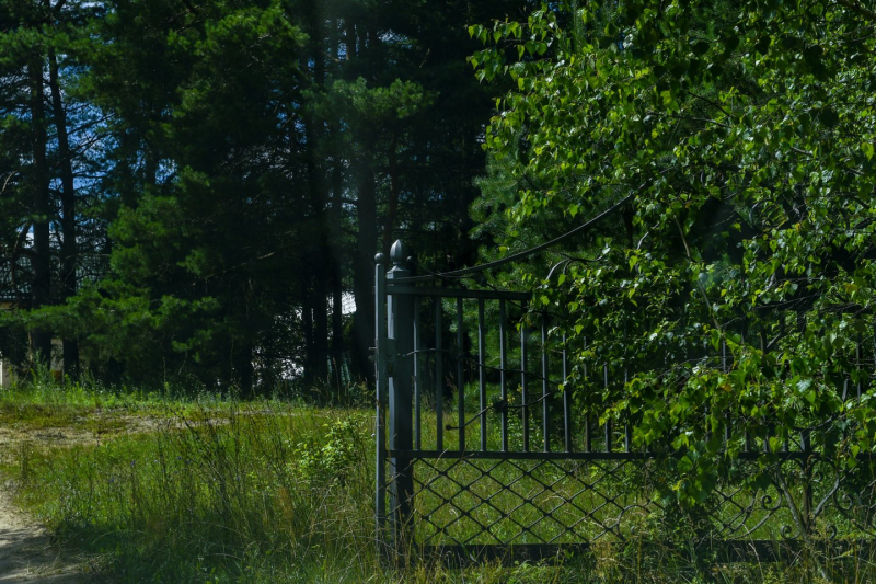 Vieni už gamtos niokojimą ir nelegalias statybas Lietuvoje baudžiami iš peties, kitiems, pasirodo, randasi galimybių atitaisyti žalą pagal kažkokius mistinius priemonių planus.