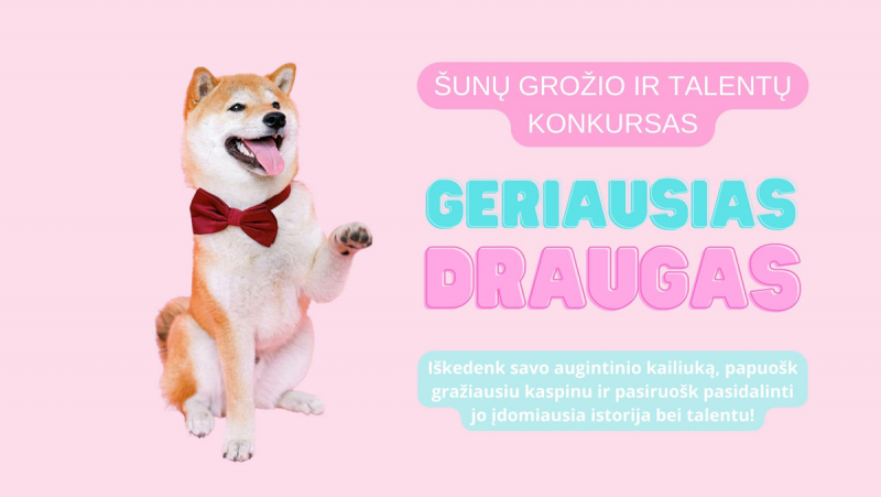 Registruok savo šuniuką grožio ir talentų konkursui, kuris įvyks birželio 23d. Veisiejų dvaro parke 14:00 val. 