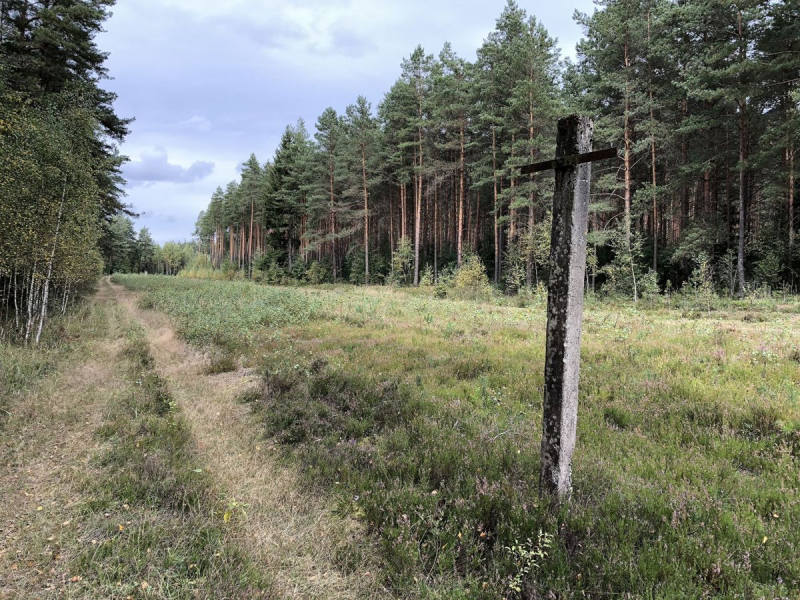 <strong>Grybavimas Lenkijoje.</strong>