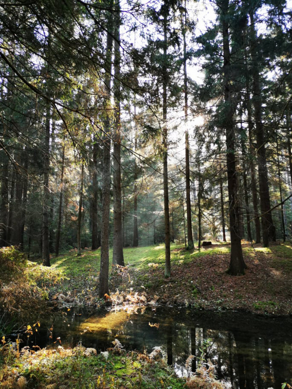 Ragažėlės gyvastis.