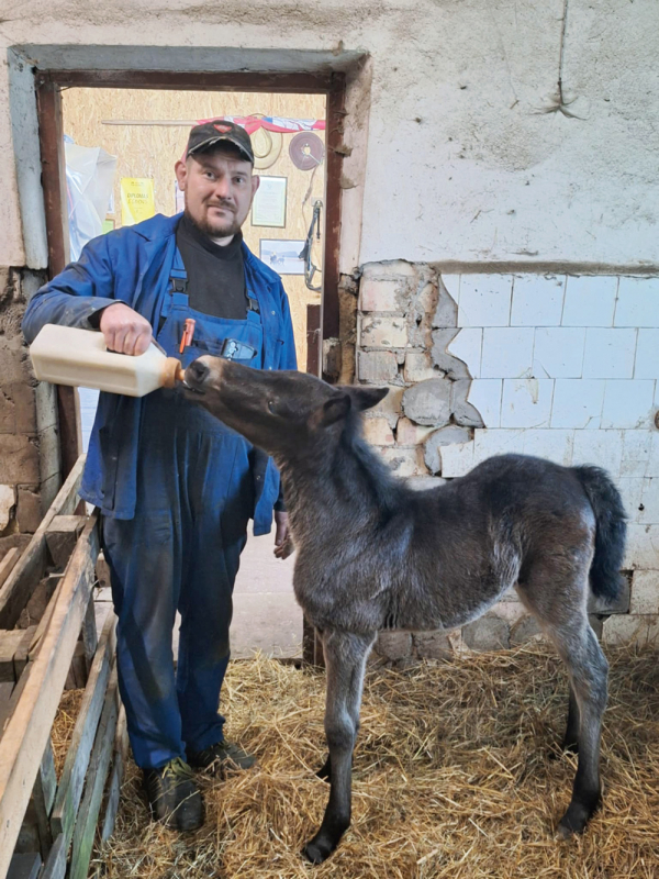Pirmosios šešios dienos Pūgai buvo kritinės – išgyveno šeimininko E. Andriuškevičiaus meilės dėka.
